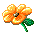 Blume